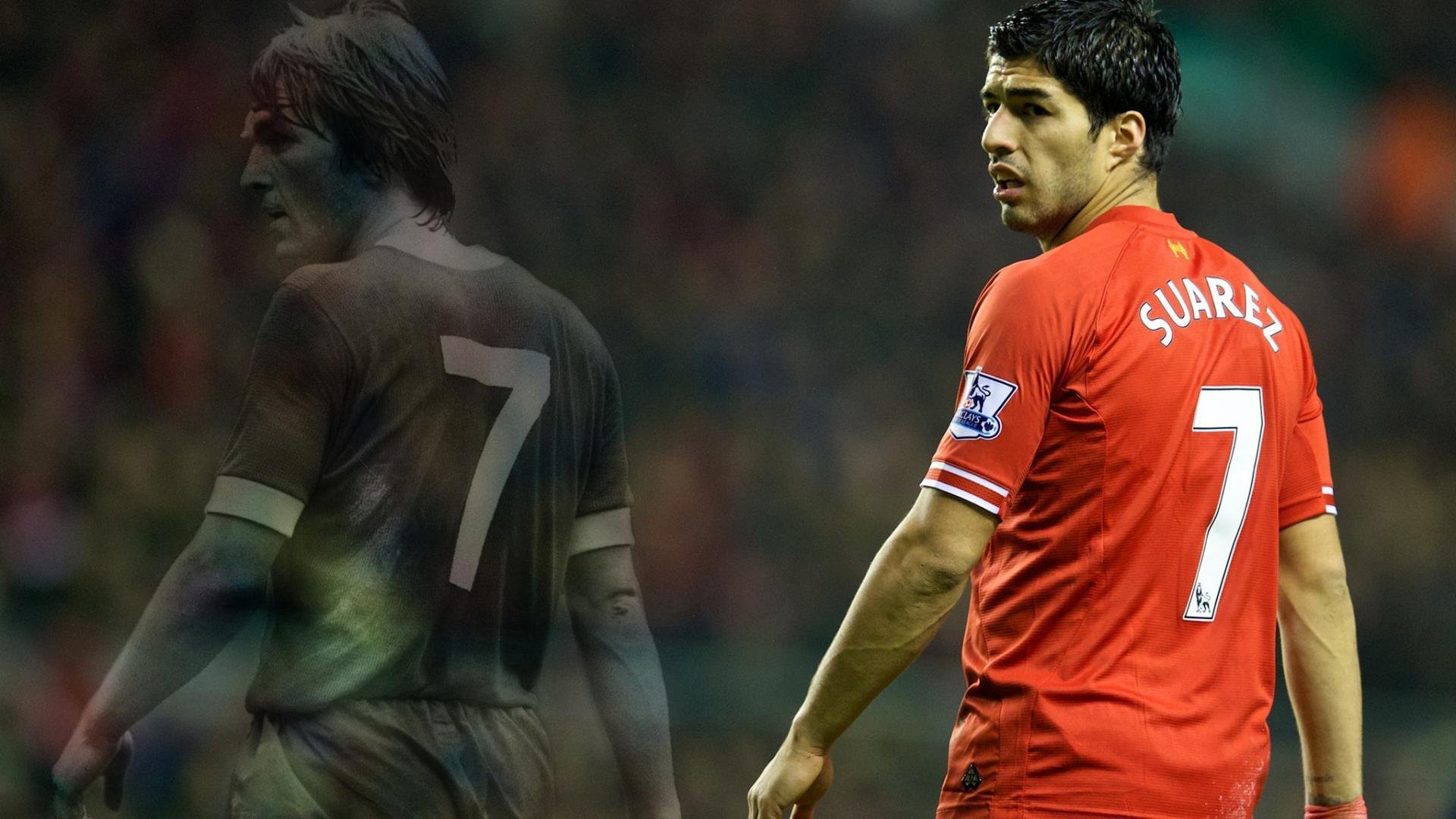 世界杯场地的环境保护措施，足球世界杯对场馆的要求