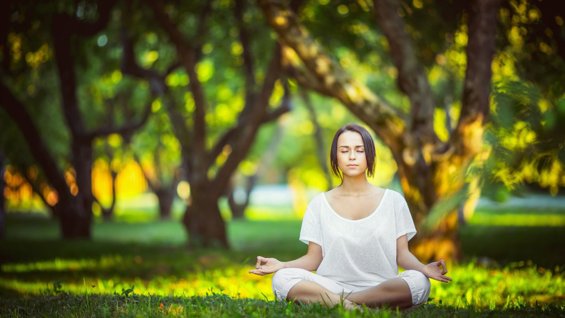 世界杯揭幕战对阵预告:墨西哥队将在阿兹特克球场迎战南非。,世界杯 墨西哥